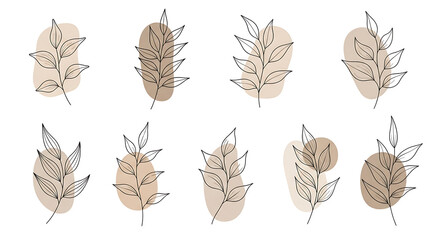 Fototapeta premium Minimalist Botanical Line Art with Abstract Shapes and Neutral Background