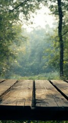 Wooden Table with Forest Scenery for Background Use