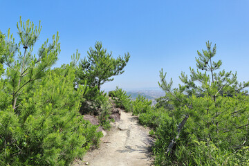 播磨アルプスの山道