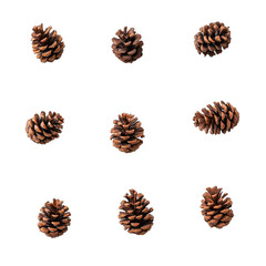 Nine brown pine cones arranged in a grid on a black background; each cone is slightly different in orientation and size, showcasing natural variations