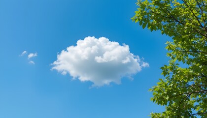 Fototapeta premium cloud in blue sky and tree branches with green leaves