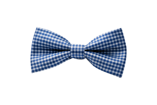 Light blue and white checkered bow tie with traditional gingham pattern and formal pre-tied construction, isolated on a transparent background