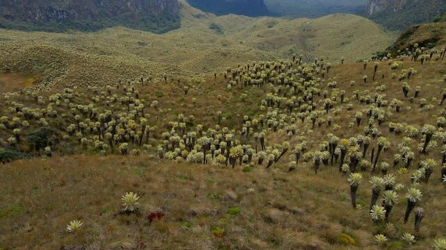 Despertando en los Andes 