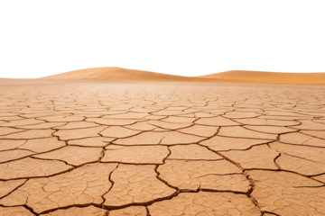 Polygonal mud cracks form geometric patterns across barren wasteland with rolling hills in background, isolated on a transparent background