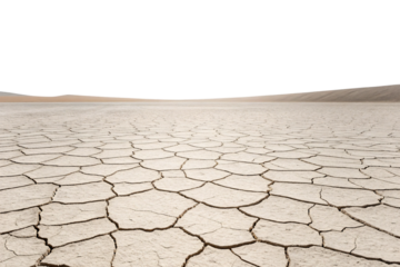 Dried lake bed with intricate crack patterns extends toward distant mountains under pale sky, isolated on a transparent background
