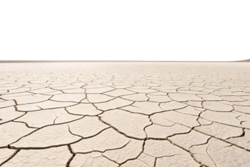 Parched soil creates natural tessellation of dried mud polygons in desolate desert environment, isolated on a transparent background