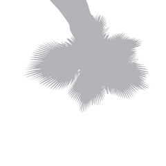 Abstract geometric background with gray and white shapes