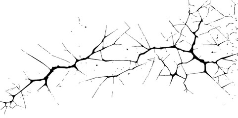 Splintered glass wall with a black branch silhouette pattern