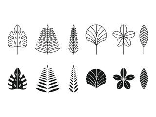 set of minimalist summer tropical leaves design. creative linear summer vector illustration