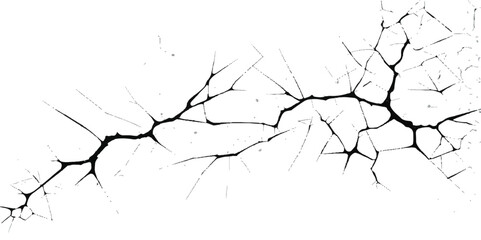 Fractured glass reveals a winter sky with a black, silhouetted tree branch pattern