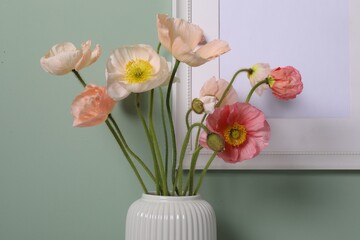 Beautiful poppy flowers in vase near green wall, closeup