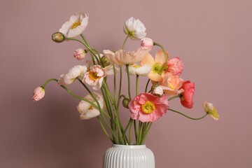 Beautiful poppy flowers in vase on pink background, closeup