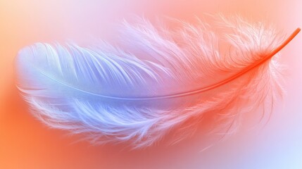 Obraz premium Soft, colorful feather in pastel hues.