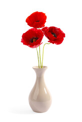 Bouquet of beautiful poppy flowers in vase isolated on white