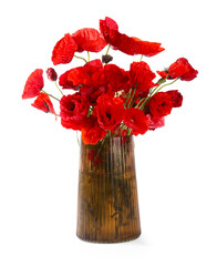 Bouquet of beautiful poppy flowers in vase isolated on white