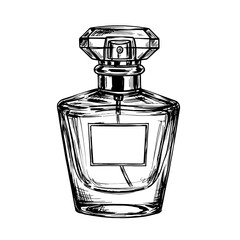 Elegant perfume bottle in classic design with label mockup, vintage pencil strokes style vector illustration. Cosmetics and beauty routine concept, fragrance container