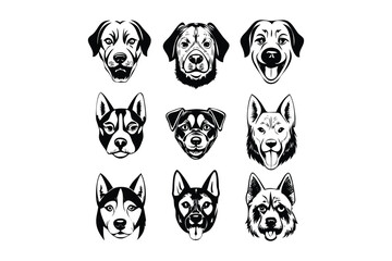 Fototapeta premium showcasing different profiles dog.