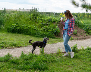 Woman in plaid shirt enjoying coffee while walking her mixed breed gray fluffy senior dog...