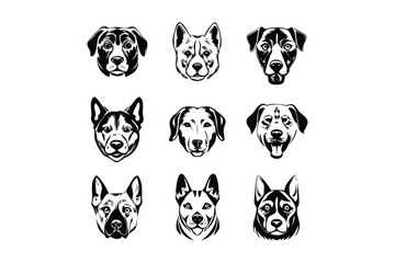 The top row includes