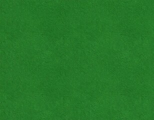 Fototapeta premium Fond d’écran uni pastel unicolore – minimaliste et doux - vert