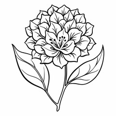 abstract flower background