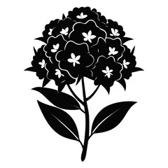 vector illustration of a flower