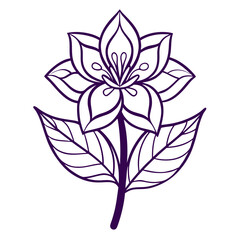 black and white flower