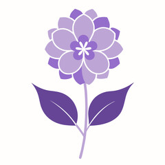 lilac flower isolated on white