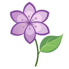 purple flower isolated on white background