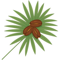 Palm leaf with dates