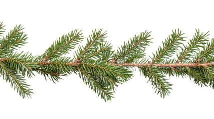 Christmas fir branches adorned with glowing bokeh lights, beautifully arranged and isolated on a clean white background, perfect for holiday greeting cards, festive banners, seasonal invitations, and 