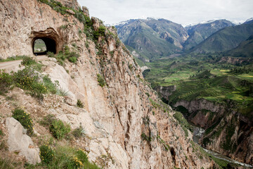 panoramic view of Colca canyon in Peruvian Andes