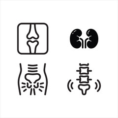 Medical Bone and Spine Icon Set – Human Anatomy Line Art