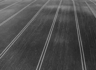 Aerial black and white abstract view of parallel lines in a farmer's field