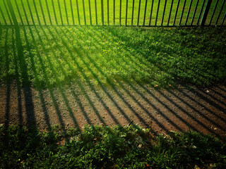 Dramatic light rays coming though the park fence