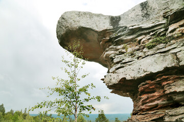 Landscape with a stone ledge with bright green trees on a clear sunny day. Mountains, forests,...