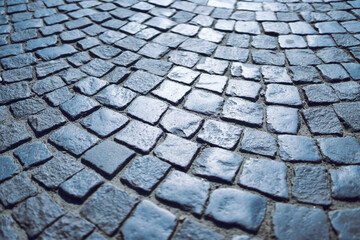 Close-Up Texture of Curved Stone Cobblestone Pavement in Blue Tone