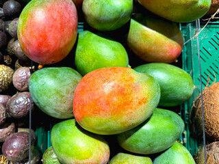 Colorful ripe tropical mangos fruits in a box. High quality photo