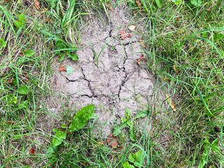 Land with dry and cracked ground and green grass. High quality photo