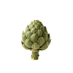 Obraz premium Isolated artichoke captivates, showcasing vibrant hues against a seamless transparent setting