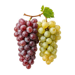 Fototapeta premium Juxtaposition of Ruby and Golden Grapes Bursting with Freshness and Natural Radiance