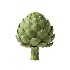 Obraz premium Isolated artichoke bloom showcasing textured leaves against a transparent void for versatile