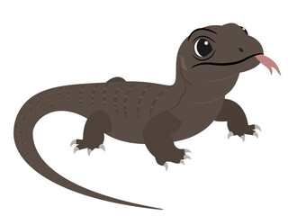 Cute monitor lizard on white background.