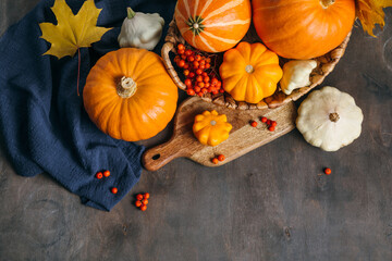 Autumn composition for Thanksgiving Day, still life background with empty copy space. Pumpkin harvest in basket, patissons, autumn leaves, red berries on wooden table. Fall design. Flat lay, top view.
