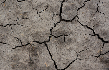 top view of Earth Texture with cracks background