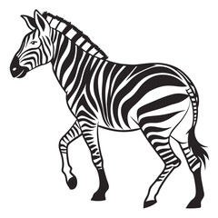Obraz premium zebra isolated on white background