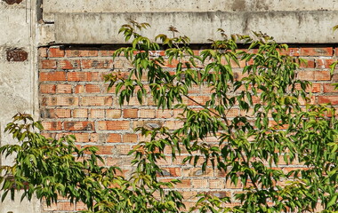a red brick wall on a construction site