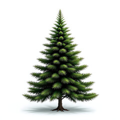  Minimal Pine Tree Silhouette Vector