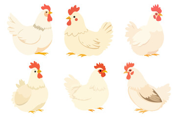 Collection of Cute Cartoon White Chicken Hen Farm Animal Bird Poultry Vector Illustrations Graphic Elements