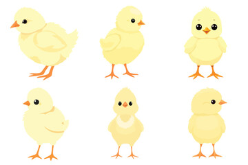 Six Cute Yellow Baby Chicks Chicken Cartoon Animal Bird Flat Design Vector Graphic Illustration Set Collection Different Poses